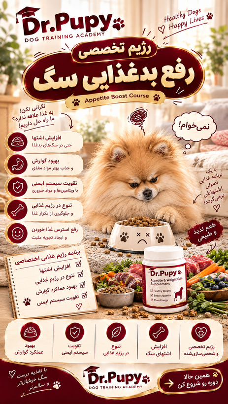 رژیم تخصصی سگ مختص سگ بدغذا