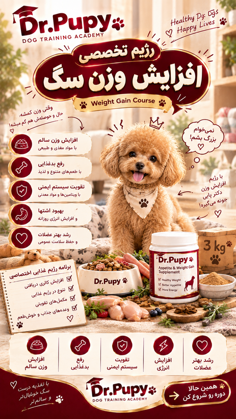 رژیم تخصصی افزایش وزن سگ