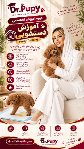 دوره آنلاین آموزش دستشویی